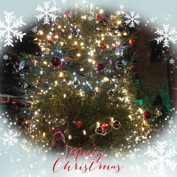 Meet your Posher, Toni - Picture 2 of 2